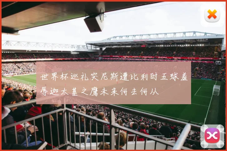 世界杯巡礼突尼斯遭比利时五球羞辱迦太基之鹰未来何去何从